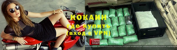 индика Белоозёрский