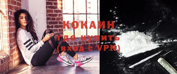 индика Белоозёрский