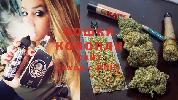индика Белоозёрский