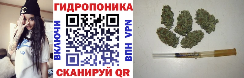 Бошки марихуана ГИДРОПОН Волосово